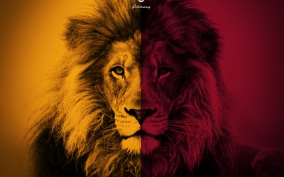 88A8娱乐焦点-伯贝这头球强力破门