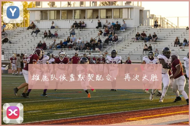 雄鹿队依靠默契配合，再次大胜