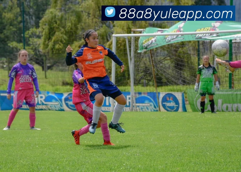 88A8娱乐APP平台生态图